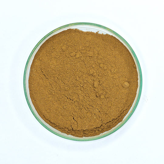 Bhumi Amla Powder