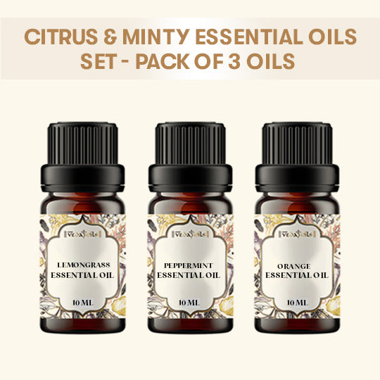 Citrus & Minty Essential Oils Set - Pack of 3 Oils