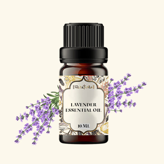 Lavender Oil - 10 Ml - Pack of 1 [ Buy 1 Get 1 Free ]