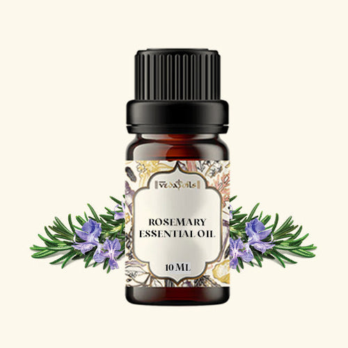 Rosemary Oil - 10 Ml - Pack of 1 [ Buy 1 Get 1 Free ]